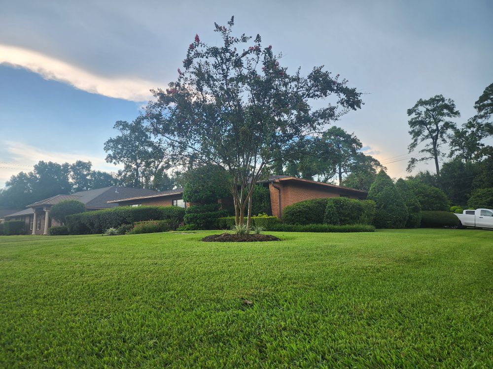 All Photos for Bruno's Professional Lawn's & Landscape in Beaumont, TX