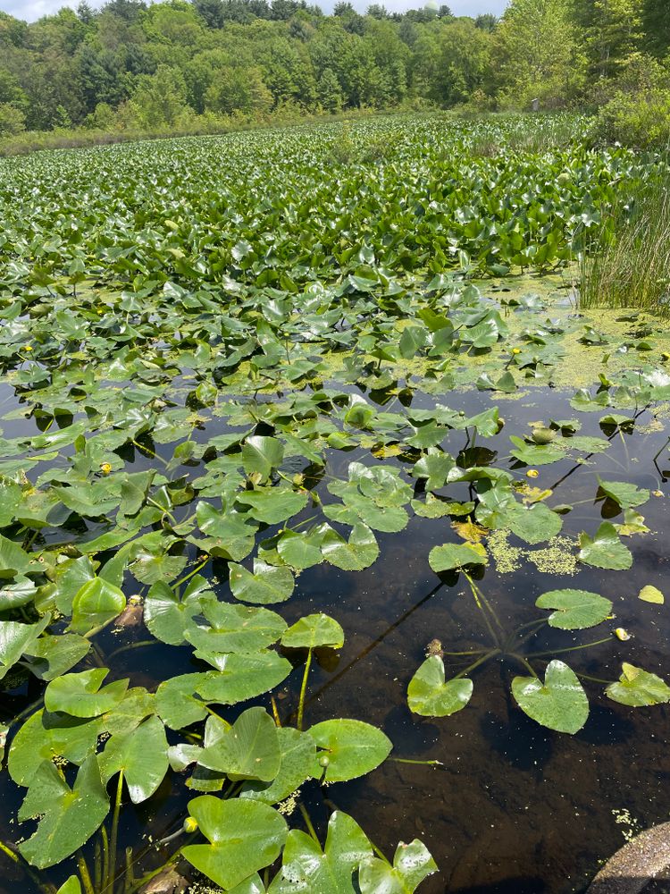 All Photos for Galactic Reiki in Mount Pocono, PA