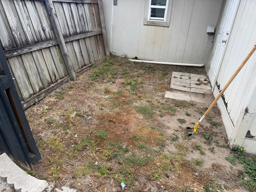 All Photos for The Yardman in Tampa, FL
