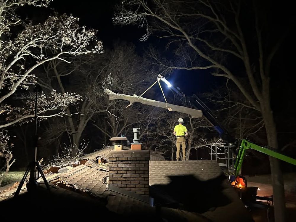 All Photos for Down To Earth Tree Service in Red Wing,  Minnesota