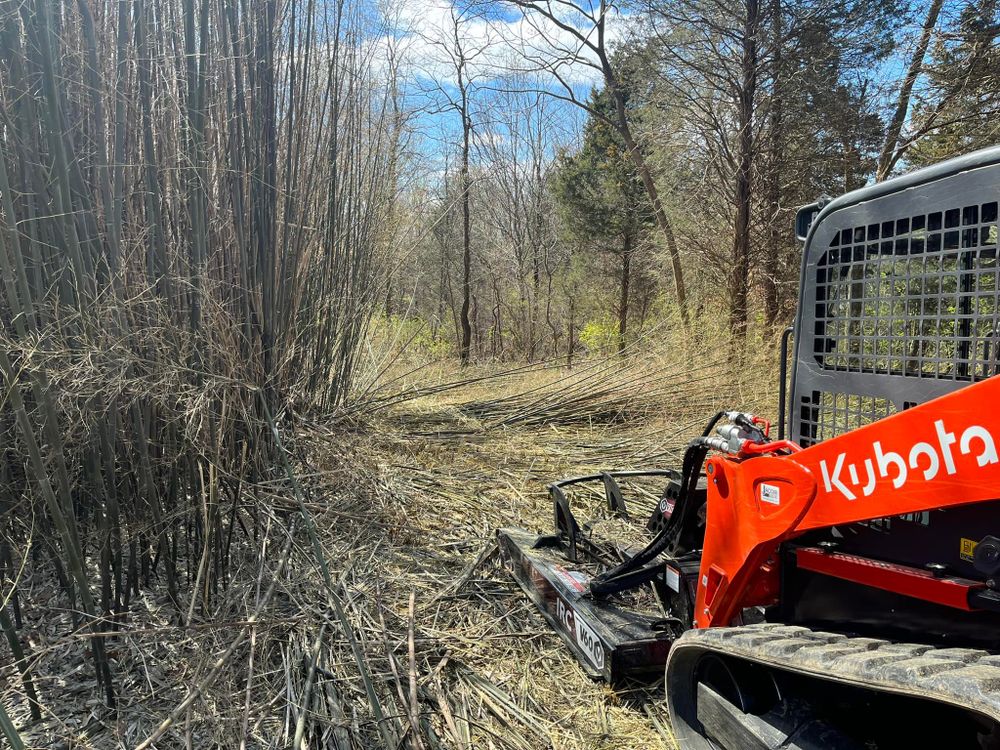 Land Clearing for Taylormade Land Service LLC in Hopkins County, KY