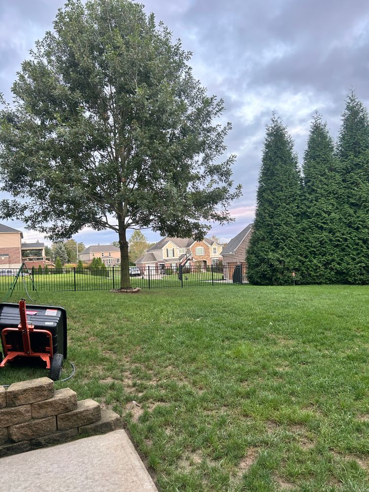 All Photos for Terra Steel Creations in Independence, KY