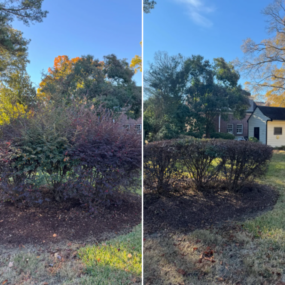 Mowing for Paul's Lawn Care and Pressure Washing in Wilson, NC