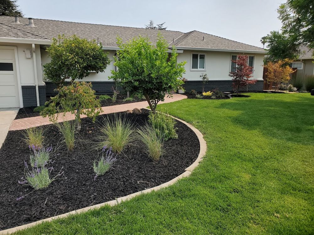 Sod & Irrigation for Martin Stanko Landscape Construction in Livermore, CA