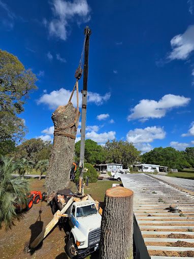 Tree Removal for Near Me Tree Service, Inc. in DeLand, FL