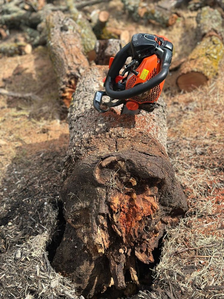 Tree Service for Austin's Lawn Enforcement in Austin, TX