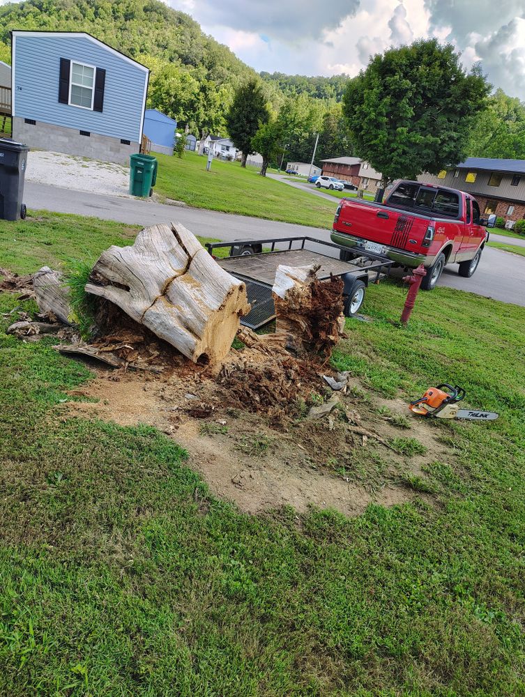 All Photos for Skys The Limit Tree Management in Morehead, KY