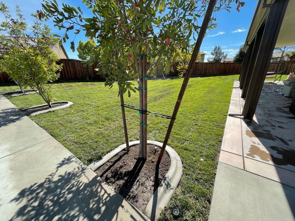 Sod Installations for Aidan Jade Landscaping in Riverside County, CA