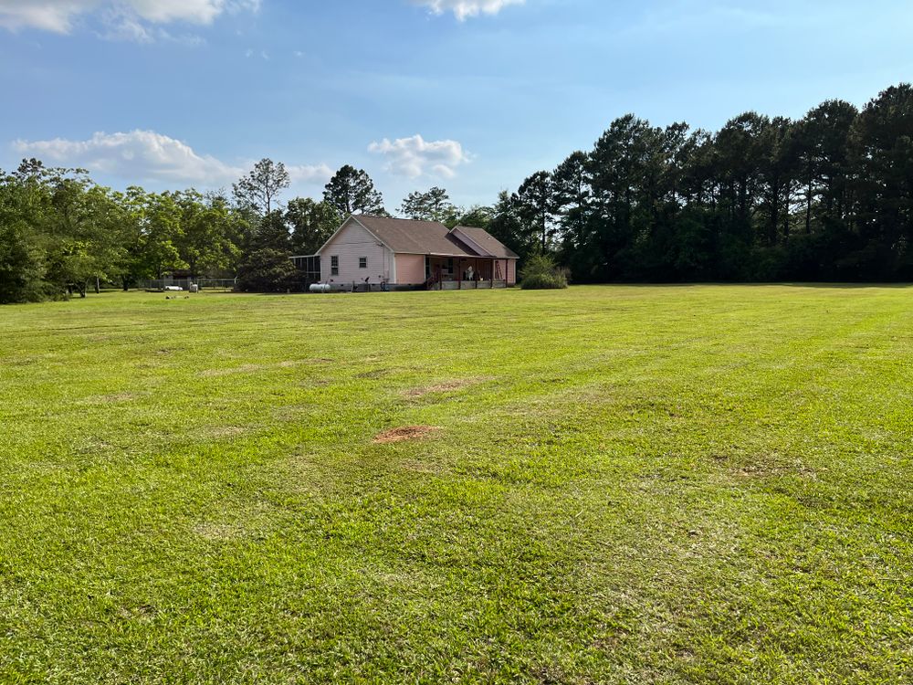 Lawn Care for Cut Above Lawn Service in Daphne, AL