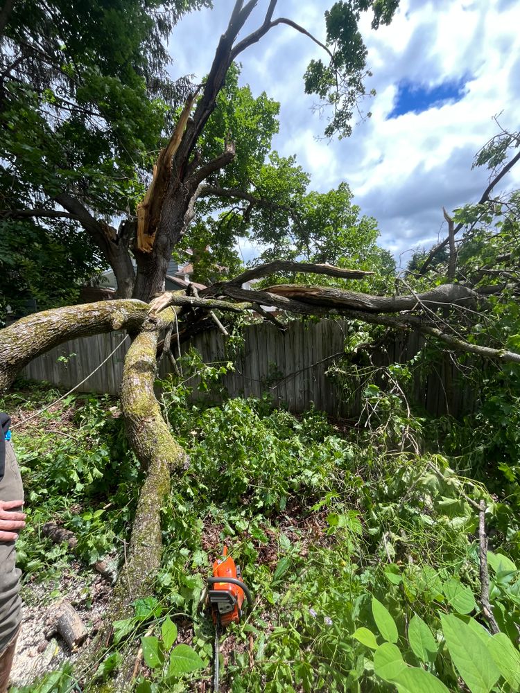 All Photos for Licensed to Cut Tree Service in Athens, PA