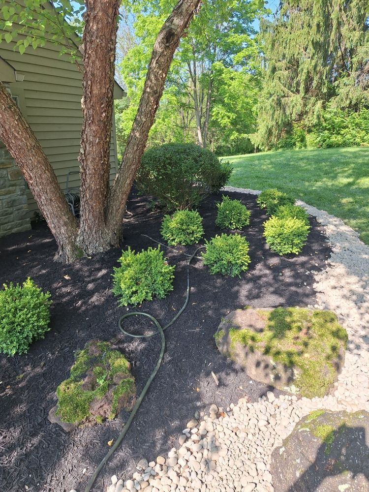 All Photos for Cincinnati’s Finest Landscape Services LLC in Cincinnati, OH