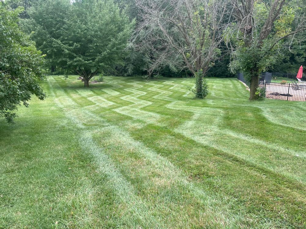 Lawn Maintenace for Andrew's Lawn Service LLC in Lebanon, IL