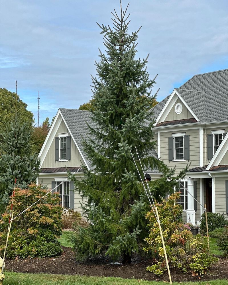 All Photos for Ace Landscaping in Trumbull, CT