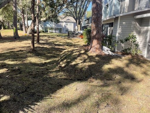 All Photos for Trinity Land Solutions in Brooksville, FL