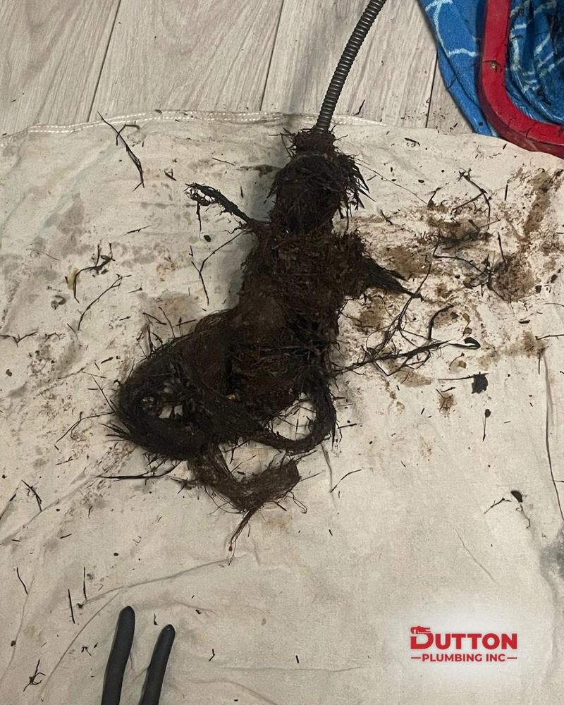 Water Heater & Tankless Water Heater Installation - Repair for Dutton Plumbing, Inc. in Indianapolis, IN