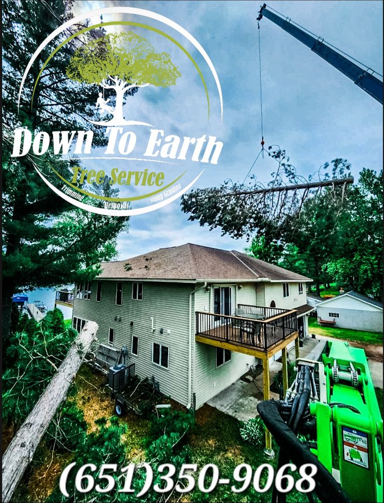 Our 24-many Emergency tree removal service ensures immediate assistance for homeowners facing urgent tree-related hazards anytime, day or night. Trust us to swiftly address your emergency needs. for Down To Earth Tree Service in Red Wing,  Minnesota