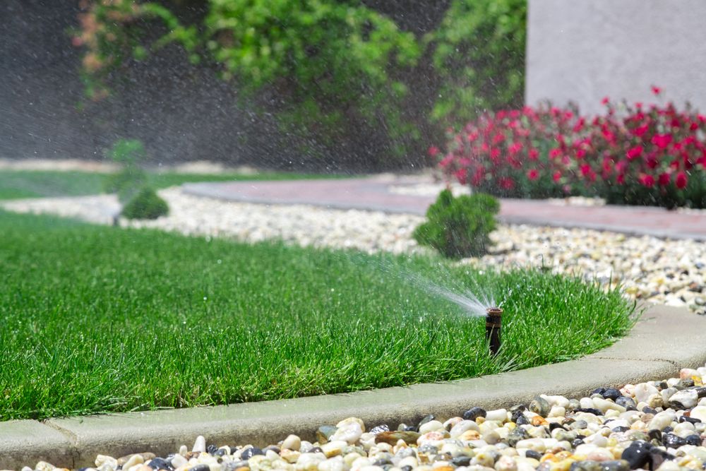 Our Irrigation Maintenance service helps homeowners keep their irrigation systems operating optimally, providing adequate water to lawns and gardens while conserving resources. for 1 Friendly Lawn Service in Tampa, FL