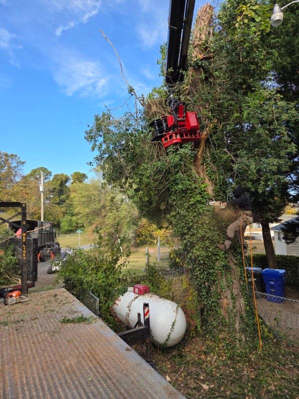 All Photos for Alexander's Tree Service  in Newburg,  MD