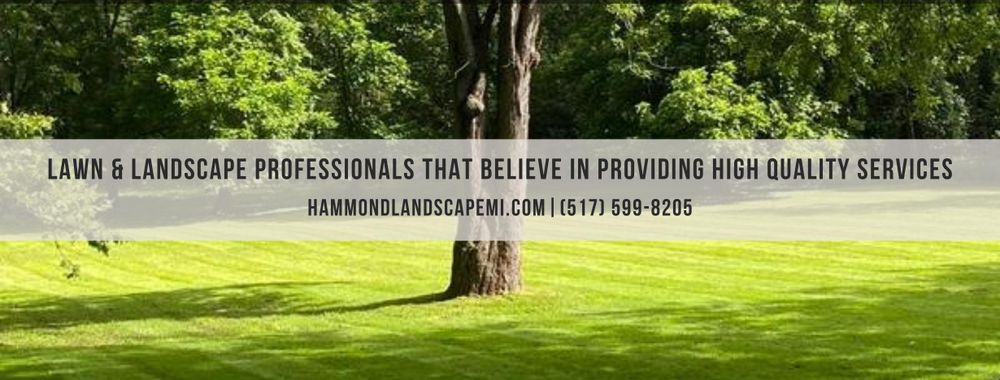 All Photos for Hammond Landscape in Okemos, MI