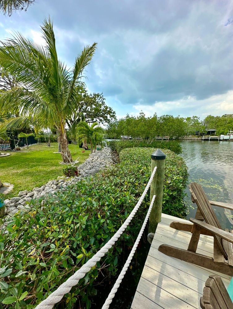 All Photos for MX Trees LLC in Englewood, FL