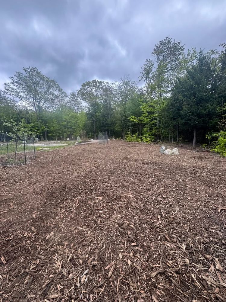 Our land clearing service efficiently removes unwanted trees, shrubs, and debris, preparing your property for new landscaping projects while enhancing its appearance and increasing usable space. Transform your outdoor area seamlessly with us. for Soil Builders LLC in West Durham, ME