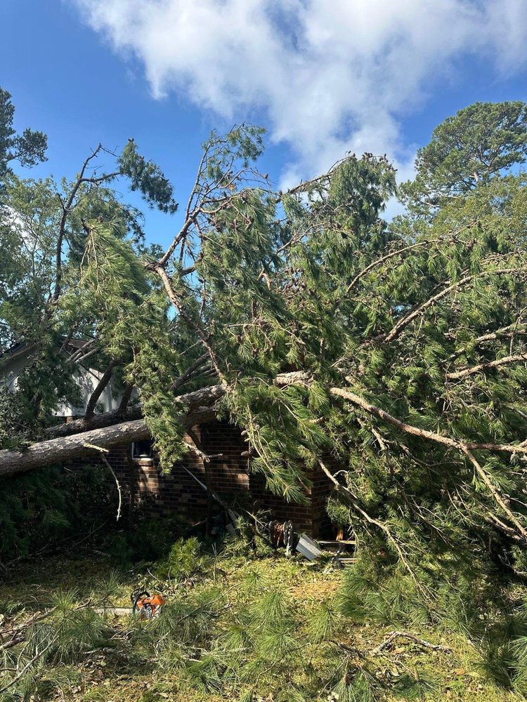 All Photos for Bulldawg Disaster Response in Atlanta, GA