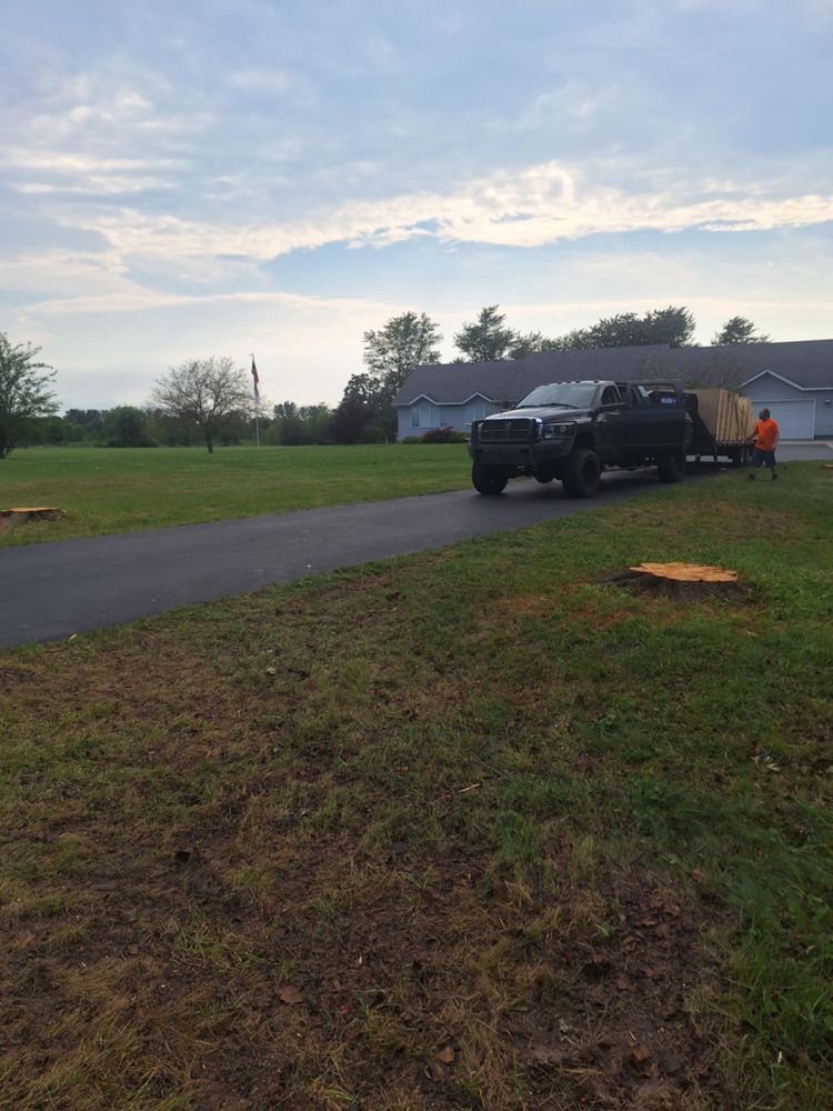 Emergency Storm Work for Highborn Tree Service in Wheatfield, IN