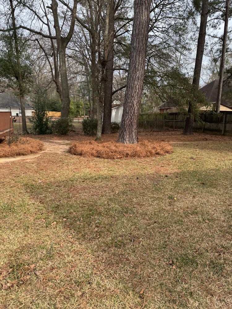 All Photos for Camalett Services in Perry, GA