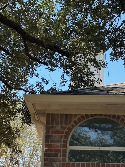 All Photos for Servin's Tree Care  in Houston, TX