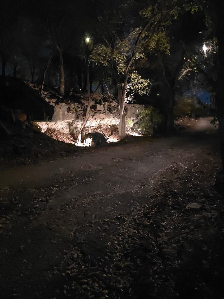 All Photos for Green Pastures Lawn Care in Bastrop, TX