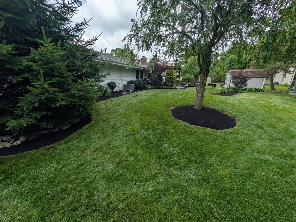 Landscaping for Knapps Landscaping and Lawn Care in Marion, OH