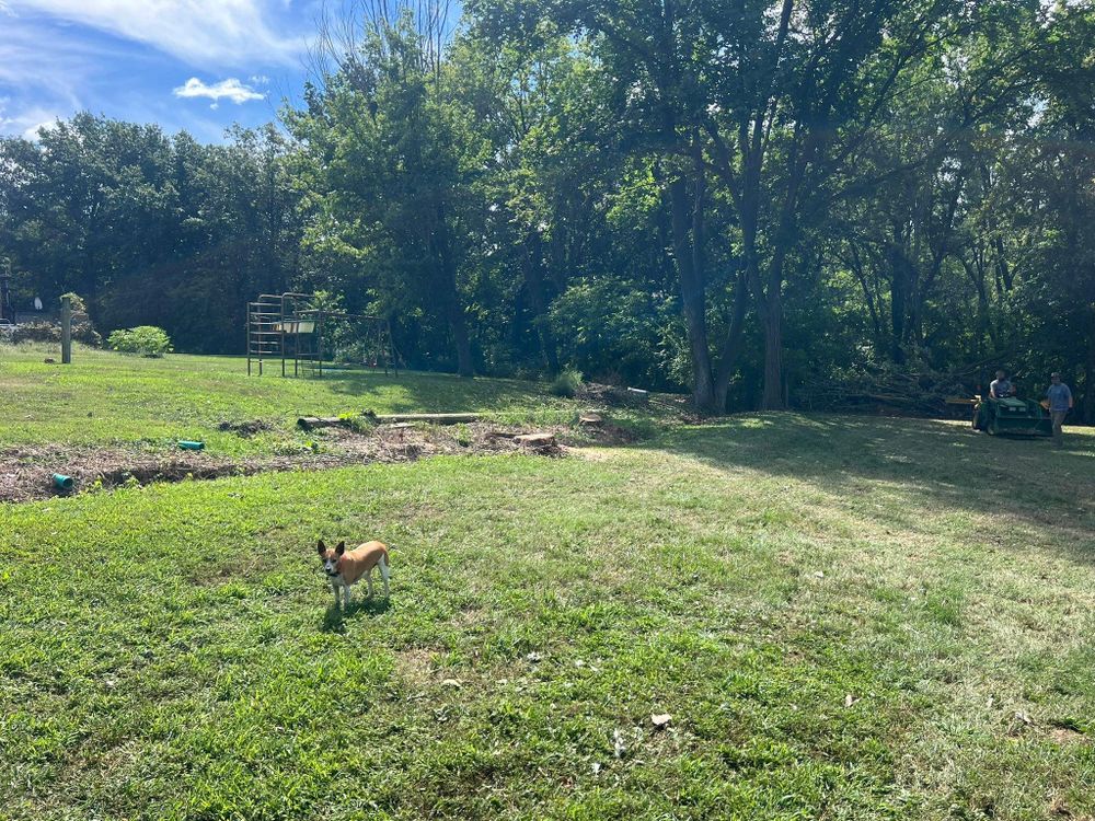 All Photos for Baker Professional Services LLC in Shelbina, MO