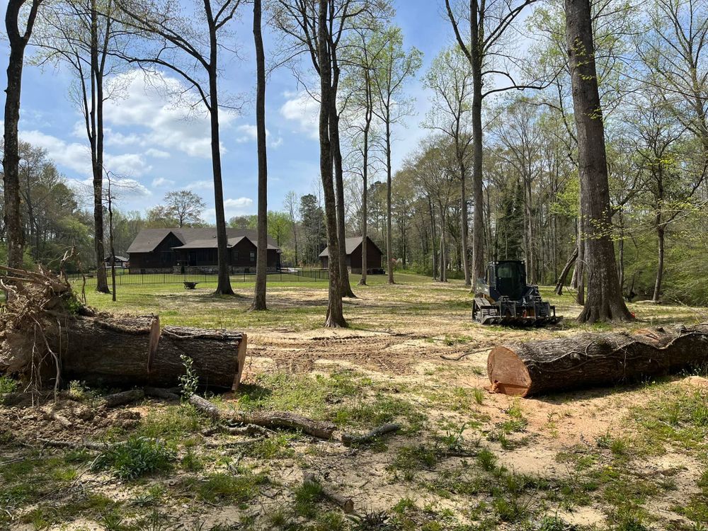 Tree Removal for Big Rock Tree Removal LLC in Boaz, AL