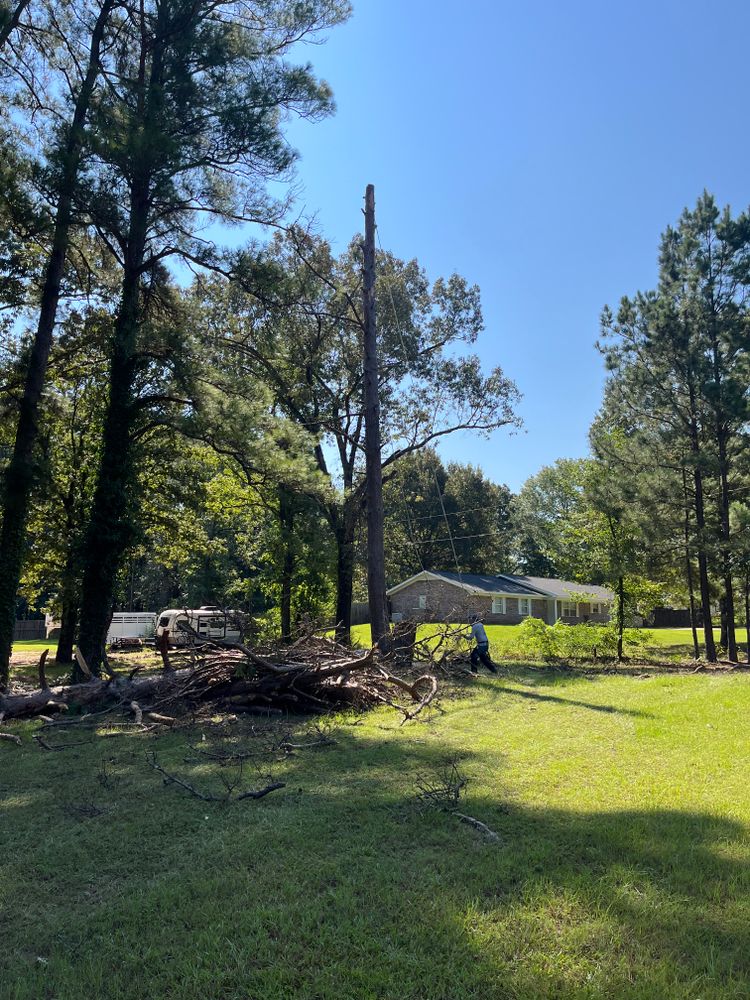 All Photos for JC Land and Tree Service in Kilgore, TX