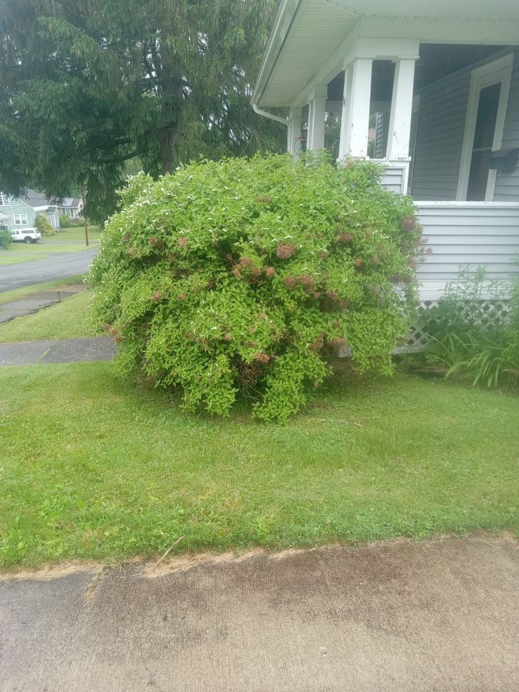All Photos for K Brown's Property Maintenance in Pittsfield, MA