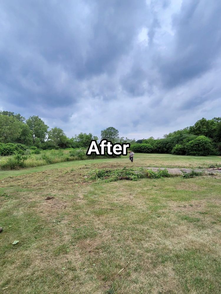 All Photos for F & F Tree Service in Beavercreek, OH