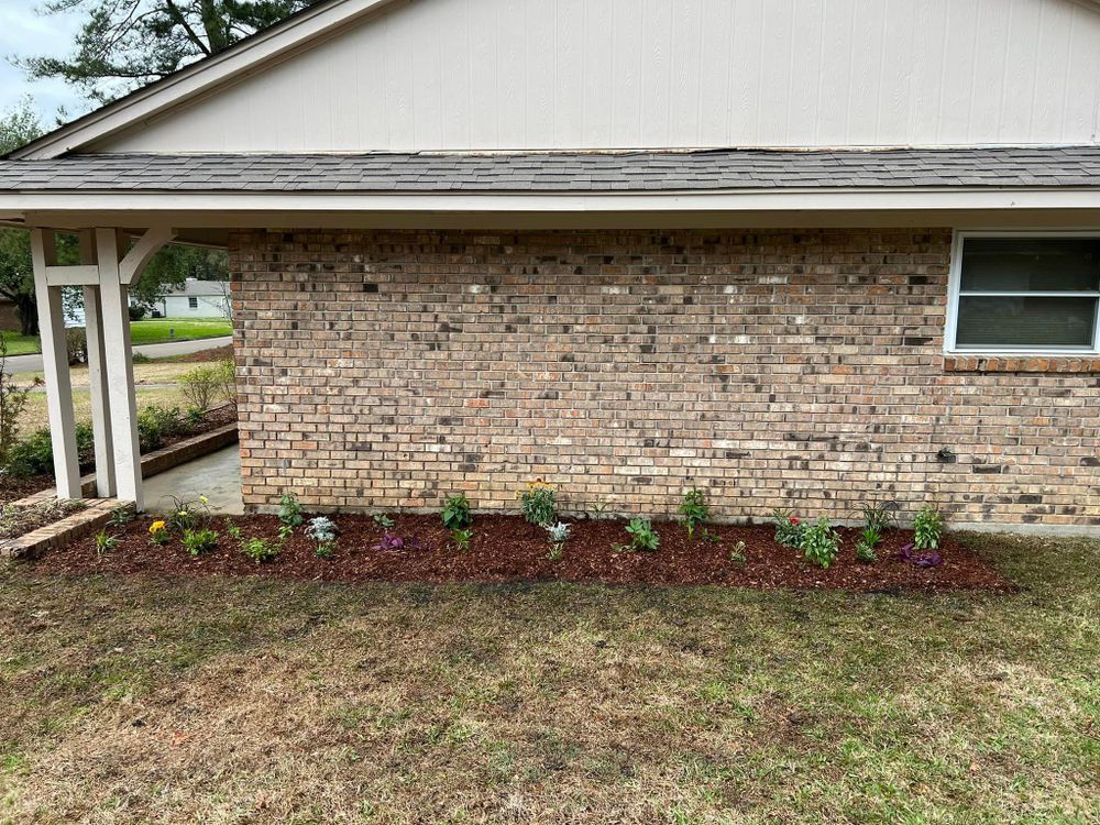 Landscaping for Amis Lawn and Landscape, LLC in Clinton, MS