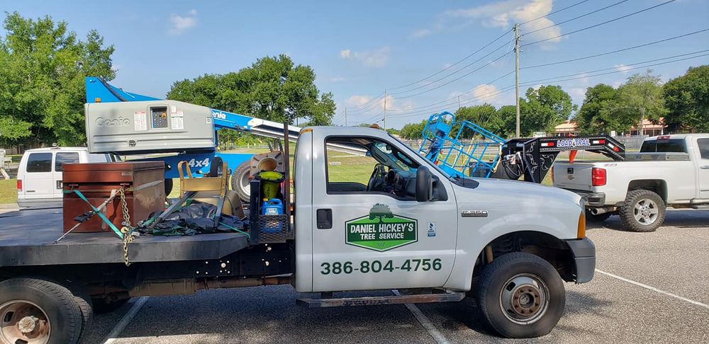 Tree Removal for Daniel Hickey’s Tree Service in DeLand, FL