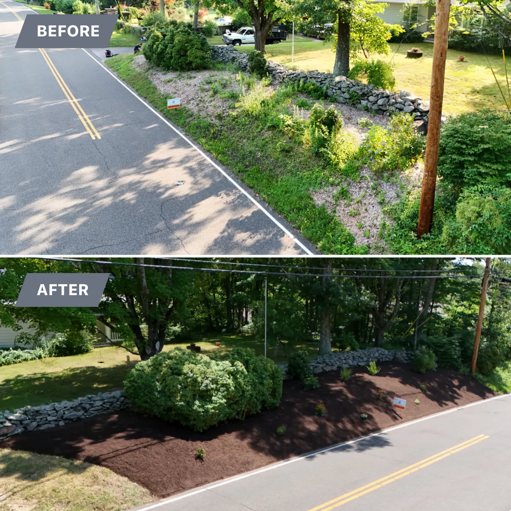 Landscape & Bed Design for Ace Landscaping in Trumbull, CT