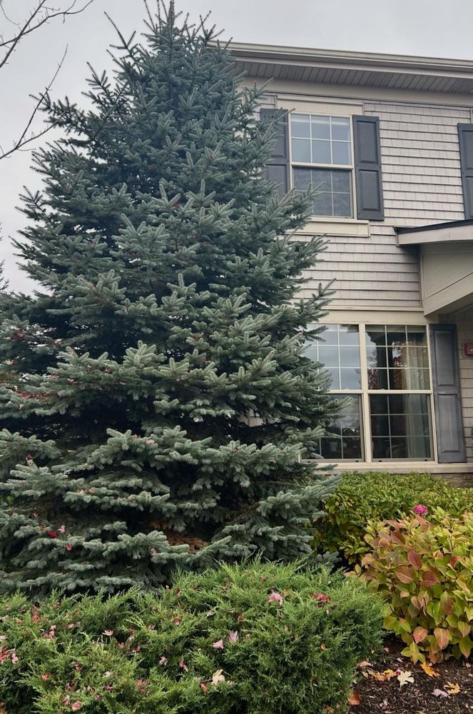 All Photos for Fence Medic in Arlington Heights, IL