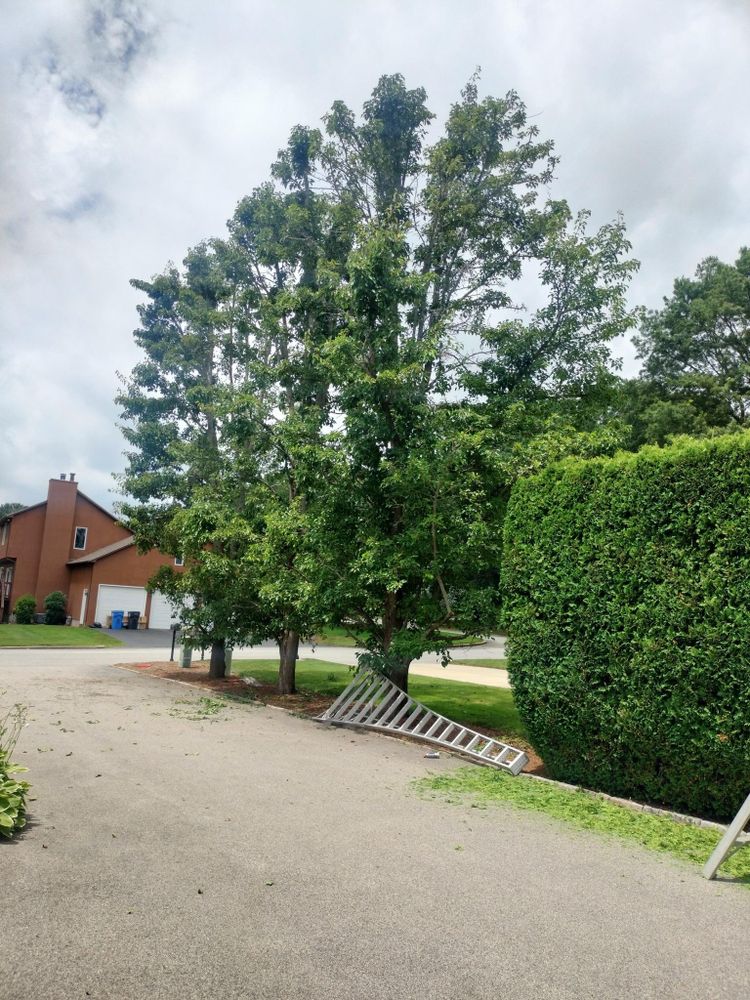 All Photos for CHACH Landscaping & Construction in Providence, RI