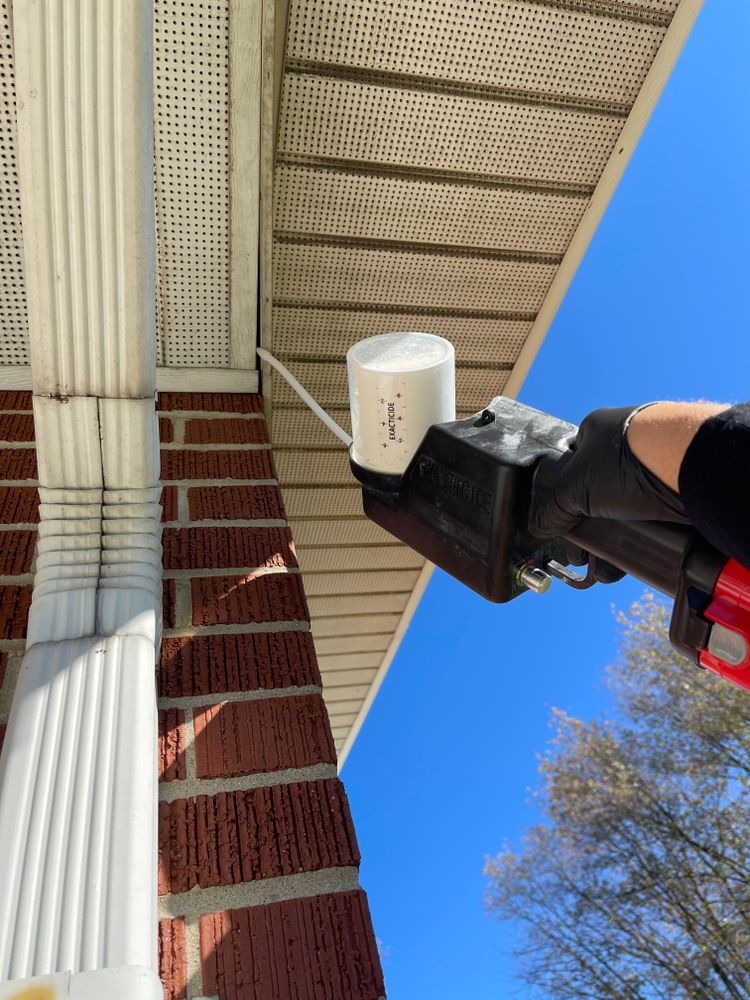 Pest Control for All-In Pest Control & Home Solutions in Greene County, IN