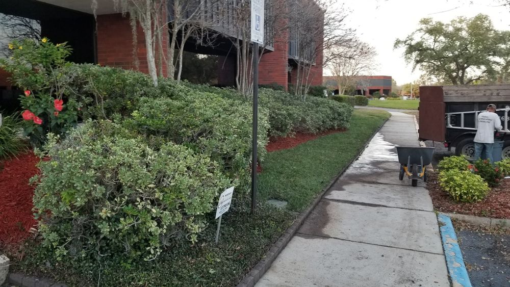 Landscaping for Tezna Landscaping, Trees & Pavers in Valrico, FL