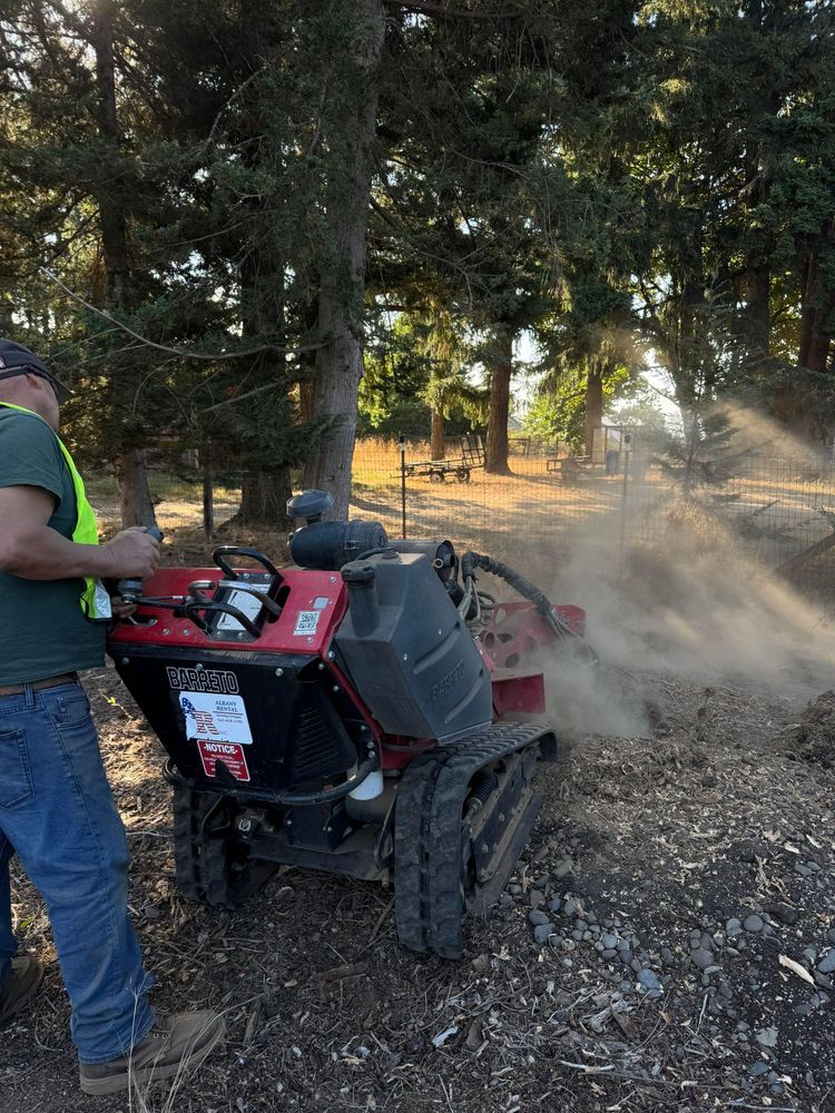 All Photos for Willamette Landscaping and Tree Services in Albany, OR