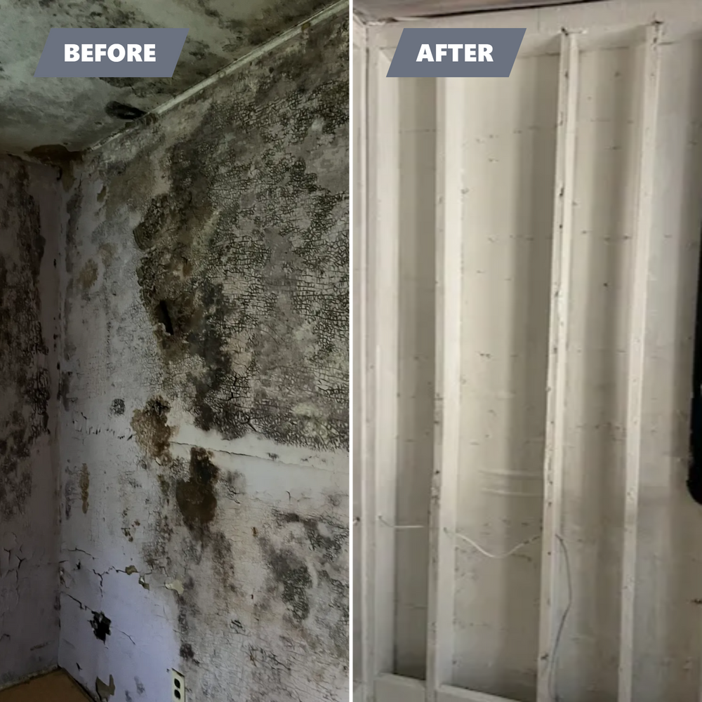 All Photos for EFG Cleaning and Restoration in Poughkeepsie, NY