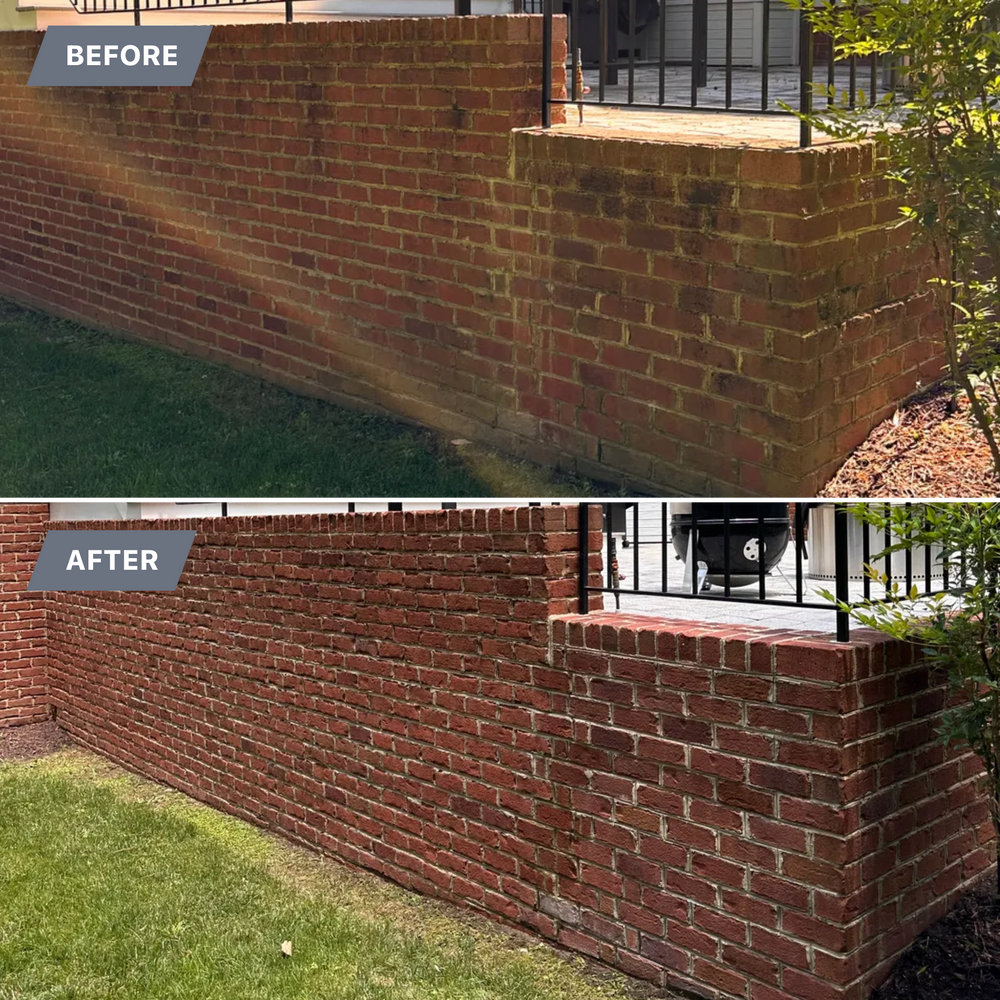 All Photos for LeafTide Solutions in Richmond, VA