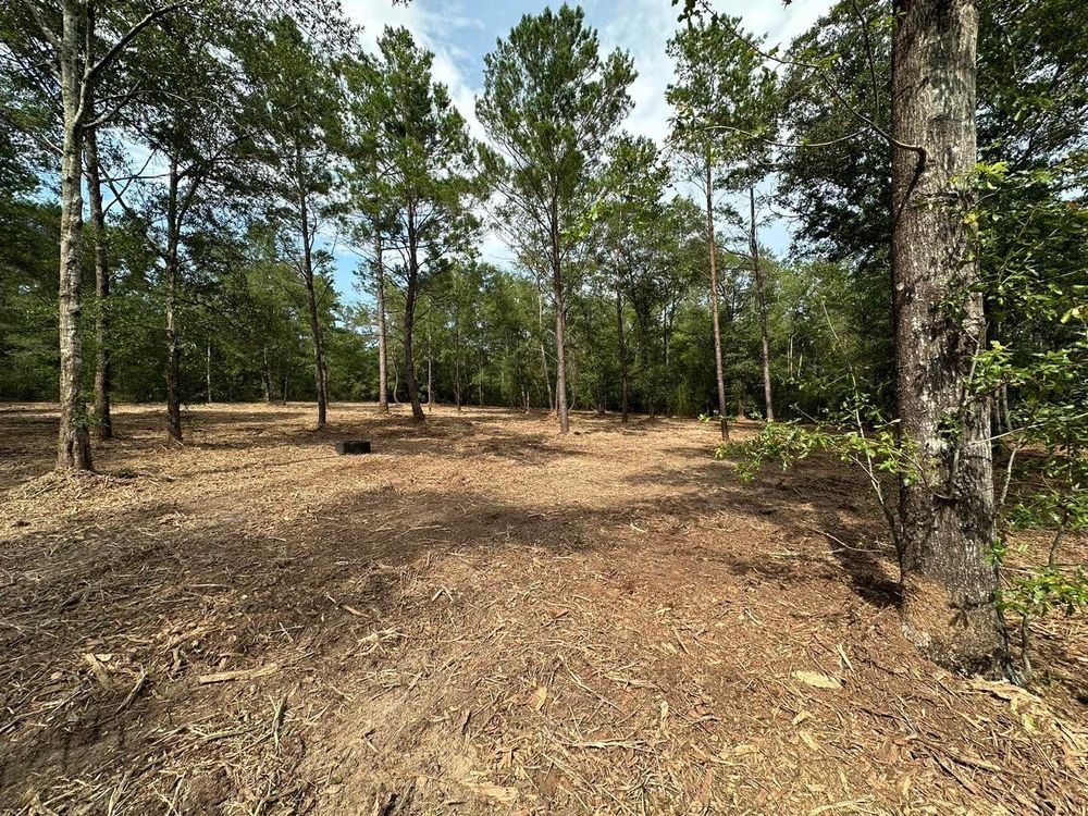 All Photos for White’s Land Maintenance in Milton,, FL