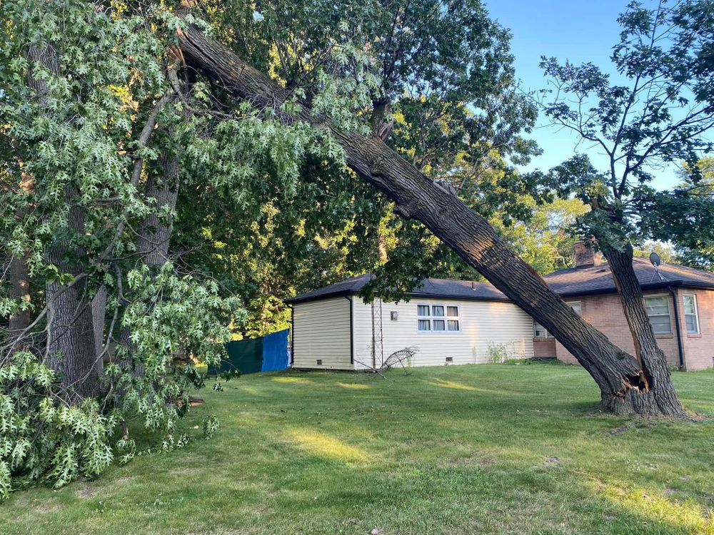 Emergency Storm Work for Highborn Tree Service in Wheatfield, IN