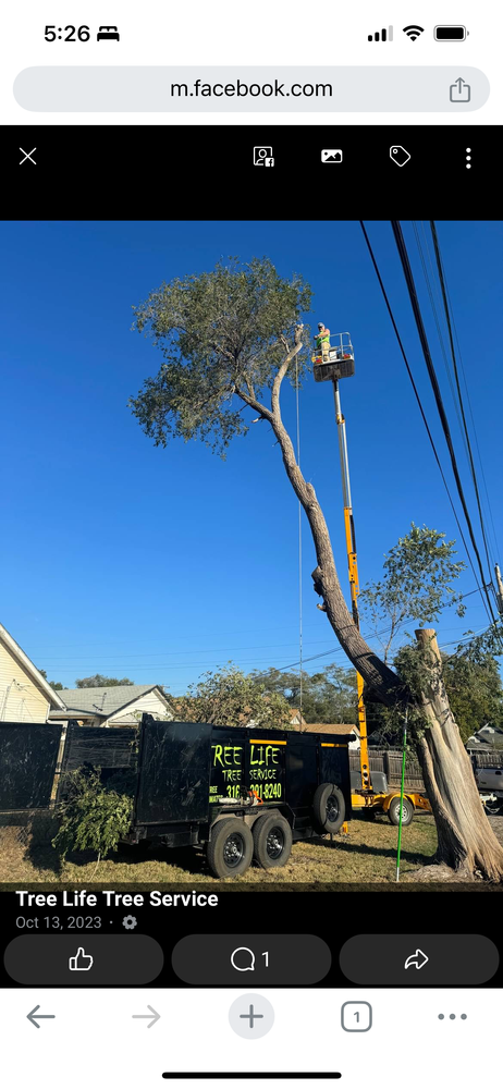 All Photos for Tree Life Tree Service in Wichita, KS