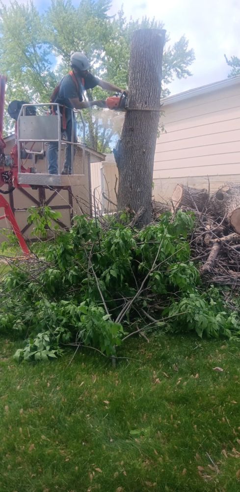 All Photos for Lawn Ranger Yard And Tree Service in Ottumwa, IA